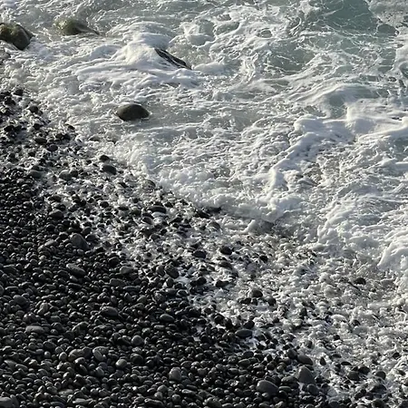 Casa Lua * Santa Maria de Guia de Gran Canaria